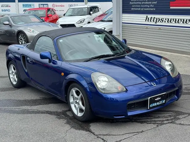 Bleu